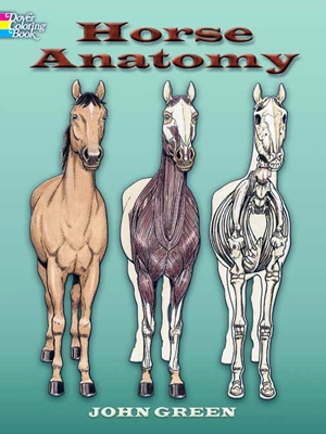 Horse Anatomy Coloring Book 32 pgs